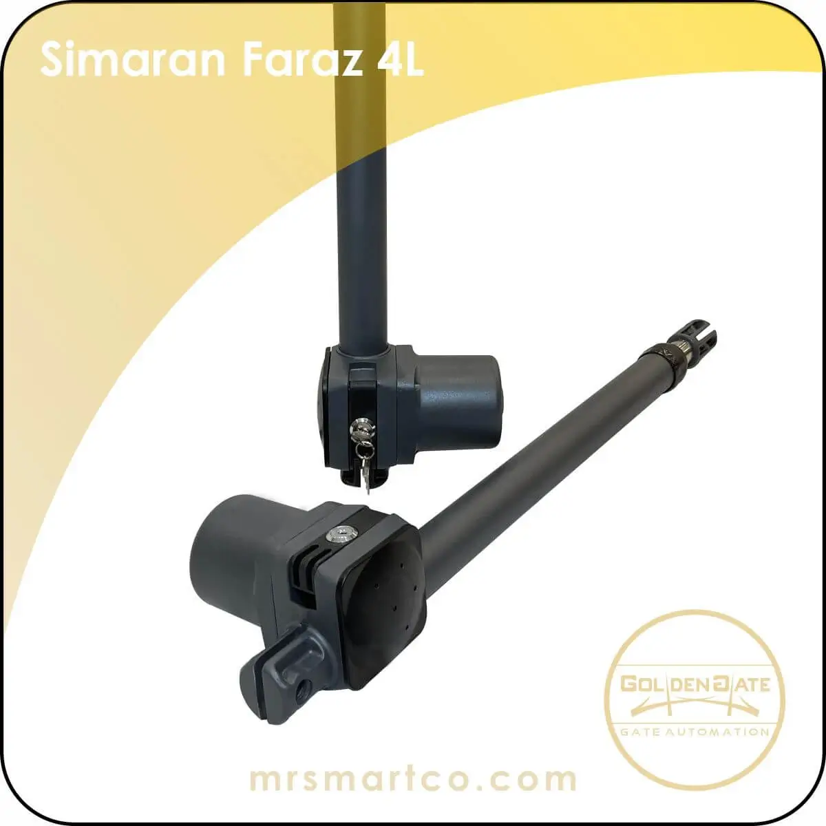0013760_simaran-faraz-4l